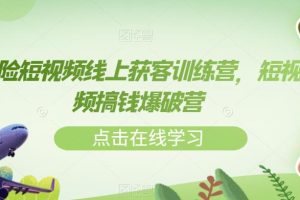 保险短视频线上获客训练营，短视频搞钱爆破营-麦资源网