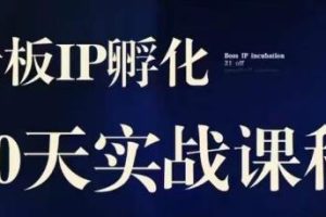 诸葛·2023老板IP实战课，实体同城引流获客，IP孵化必听-麦资源网