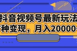 抖音视频号最新玩法，7种变现，月入20000+-麦资源网