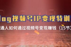 （11654期）Vlog 视频号IP变现特训营，普通人如何通过视频号变现赚钱（15节）-麦资源网