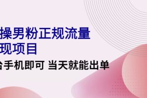 (4265期)2022实操男粉正规流量变现项目,一台手机即可 当天就能出单【视频课程】-麦资源网