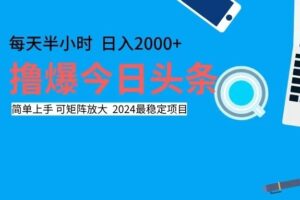 （12401期）撸今日头条，单号日入2000+可矩阵放大-麦资源网