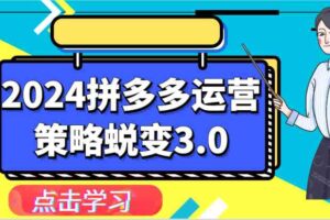 2024拼多多运营策略蜕变3.0-提升拼多多认知、制定运营策略、实现盈利收割等-麦资源网