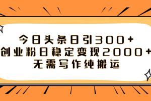 （7763期）今日头条日引300+创业粉日稳定变现2000+无需写作纯搬运-麦资源网