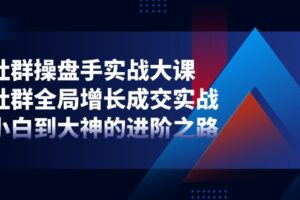 （11058期）社群-操盘手实战大课：社群 全局增长成交实战，小白到大神的进阶之路-麦资源网