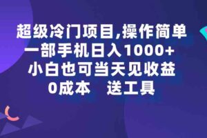 （9291期）超级冷门项目,操作简单，一部手机轻松日入1000+，小白也可当天看见收益-麦资源网