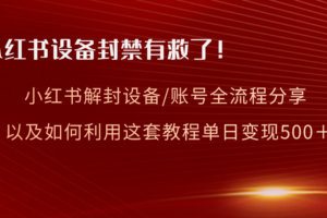 （8441期）小红书设备及账号解封全流程分享，亲测有效，以及如何利用教程变现-麦资源网