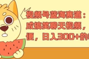 视频号蓝海赛道：AI 生成搞笑聊天视频，操作简便，日入300+的教程【揭秘】-麦资源网