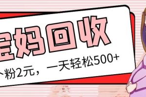 最新宝妈粉回收变现计划及胎教音乐高端变现玩法全套教程！（非老玩法）-麦资源网