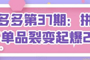 拼多多第37期：拼多多单品裂变起爆2.0-麦资源网