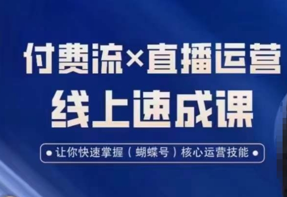 视频号付费流实操课程，付费流✖️直播运营速成课，让你快速掌握视频号*运营技能