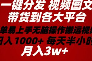 （10667期）2024年 一键分发带货图文视频  简单易上手 无脑赚收益 每天半小时日入1…-麦资源网