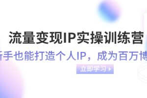 （8134期）流量变现-IP实操训练营：新手也能打造个人IP，成为百万 博主（46节课）-麦资源网