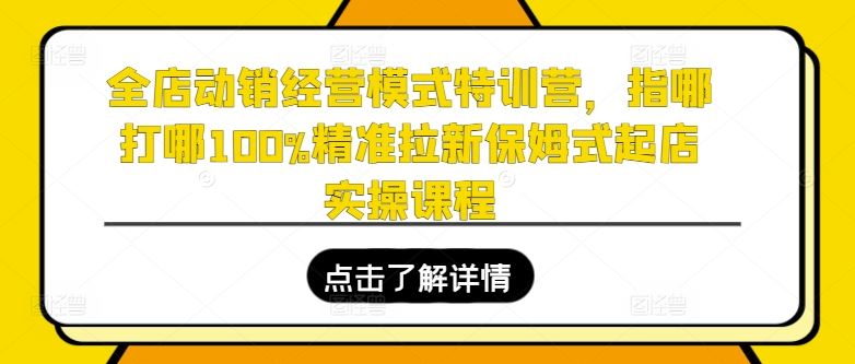全店动销经营模式特训营，指哪打哪**拉新保姆式起店实操课程