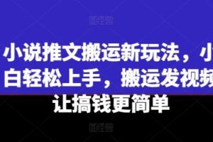 小说推文搬运新玩法，小白轻松上手，搬运发视频让搞钱更简单-麦资源网