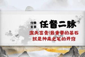 某公众号付费文章《任督二脉泼天富贵|最重要的基石就是神来之笔的开窍|万字》-麦资源网