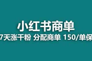 (6615期)2023最强蓝海项目，小红书商单项目，没有之一！-麦资源网