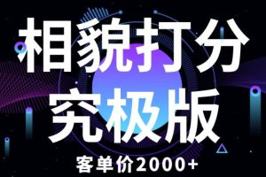 相貌打分究极版，客单价2000+纯新手小白就可操作的项目-麦资源网