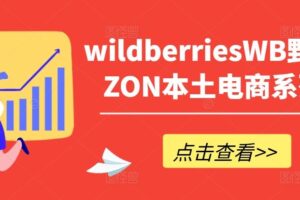 wildberriesWB野莓/OZON本土电商系列课，掌握WB产品优化，出单技巧和订单处理等-麦资源网