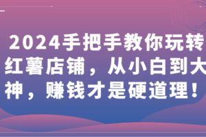 2024手把手教你玩转红薯店铺，从小白到大神，赚钱才是硬道理！-麦资源网
