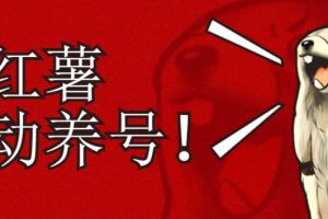 小红书养号秘籍，如何自动涨粉清晰系统标签打造高权重账号【揭秘】-麦资源网