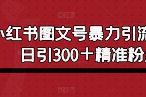小红书图文号暴力引流4.0，日引300＋精准粉丝【揭秘】-麦资源网