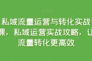 私域流量运营与转化实战课，私域运营实战攻略，让流量转化更高效-麦资源网