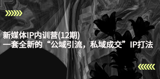 图片[1]-（4103期）新媒体IP内训营(12期)，一套全新的“公域引流，私域成交”IP打法，直接带走