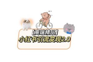 小红书最新引流变现教程，全网最新最详细的视频教程以及素材-麦资源网