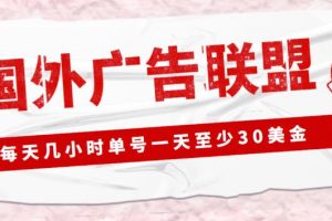 外面收费1980的最新国外LEAD广告联盟搬砖项目，单号一天至少30美金【详细玩法教程】-麦资源网