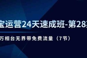 淘宝运营24天速成班第28期：最新万相台无界带免费流量（7节课）-麦资源网
