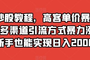 靠炒股教程，高客单价暴力变现，多渠道引流方式暴力涨粉，新手也能实现日入2000+【揭秘】-麦资源网