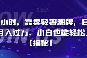 每天两小时，靠卖轻奢潮牌，日入过千，月入过万，小白也能轻松上手【揭秘】-麦资源网