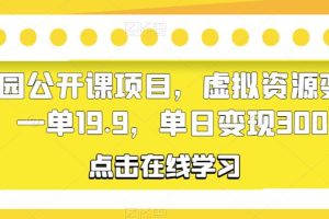 幼儿园公开课项目，虚拟资源变现，一单19.9，单日变现300-麦资源网