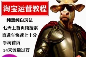 猫老师·淘系算法逆向解密，​纯黑纯白玩法，七天上首页纯搜索，手淘首页14天流量过万-麦资源网