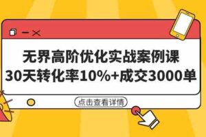 （9409期）无界高阶优化实战案例课，30天转化率10%+成交3000单（8节课）-麦资源网