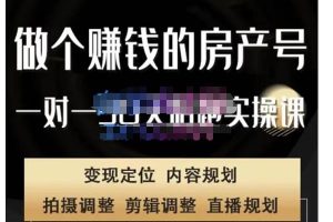 刘广标·同城房产号线上陪跑课，拍摄、剪辑、写文案、直播，做一个具有潜力价值的房产号-麦资源网