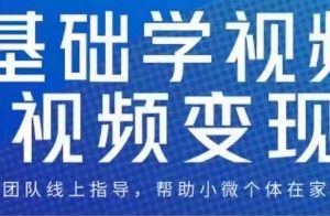 0基础学视频号短视频变现，适合新人学习的短视频变现课-麦资源网