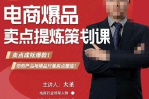 大圣·电商标品爆款卖点策划课，标品卖点成就爆款，可落地卖点提炼课-麦资源网