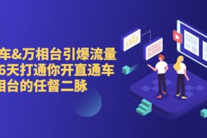 （6757期）直通车+万相台引爆流量班，6天打通你开直通车·万相台的任督 二脉-麦资源网