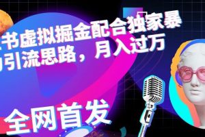 小红书虚拟掘金配合独家首发暴力引流思路，月入过万【揭秘】-麦资源网
