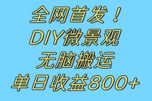 全网首发冷门赛道！DIY微景观，无脑搬运视频，日收益800+【揭秘】-麦资源网
