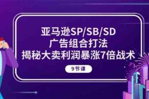亚马逊SP/SB/SD广告组合打法，揭秘大卖利润暴涨7倍战术 (9节课)-麦资源网