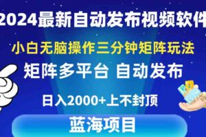 （10166期）2024最新视频矩阵玩法，小白无脑操作，轻松操作，3分钟一个视频，日入2k+-麦资源网