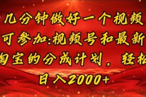 （11835期）几分钟一个视频，可在视频号，淘宝同时获取收益，新手小白轻松日入2000…-麦资源网