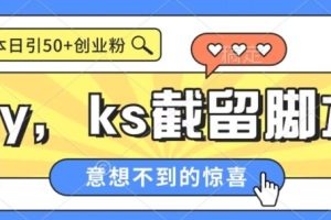 全网首发抖音快手全自动直播间截留创业粉，全行业精准粉技术【脚本+教程】-麦资源网