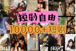 打造完全属于自己的个人短剧库，实现网盘拉新与私域变现的完美融合！-麦资源网