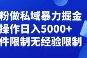负债粉私域暴力掘金，小白操作入5000，无经验限制，无条件限制【揭秘】-麦资源网