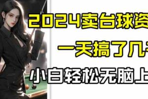 2024卖台球资料，一天搞了几千，小白轻松无脑上手-麦资源网