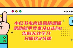 （5764期）小红书电商·运营精通课，帮助新手卖家从0走向1 告别无效学习（7节视频课）-麦资源网